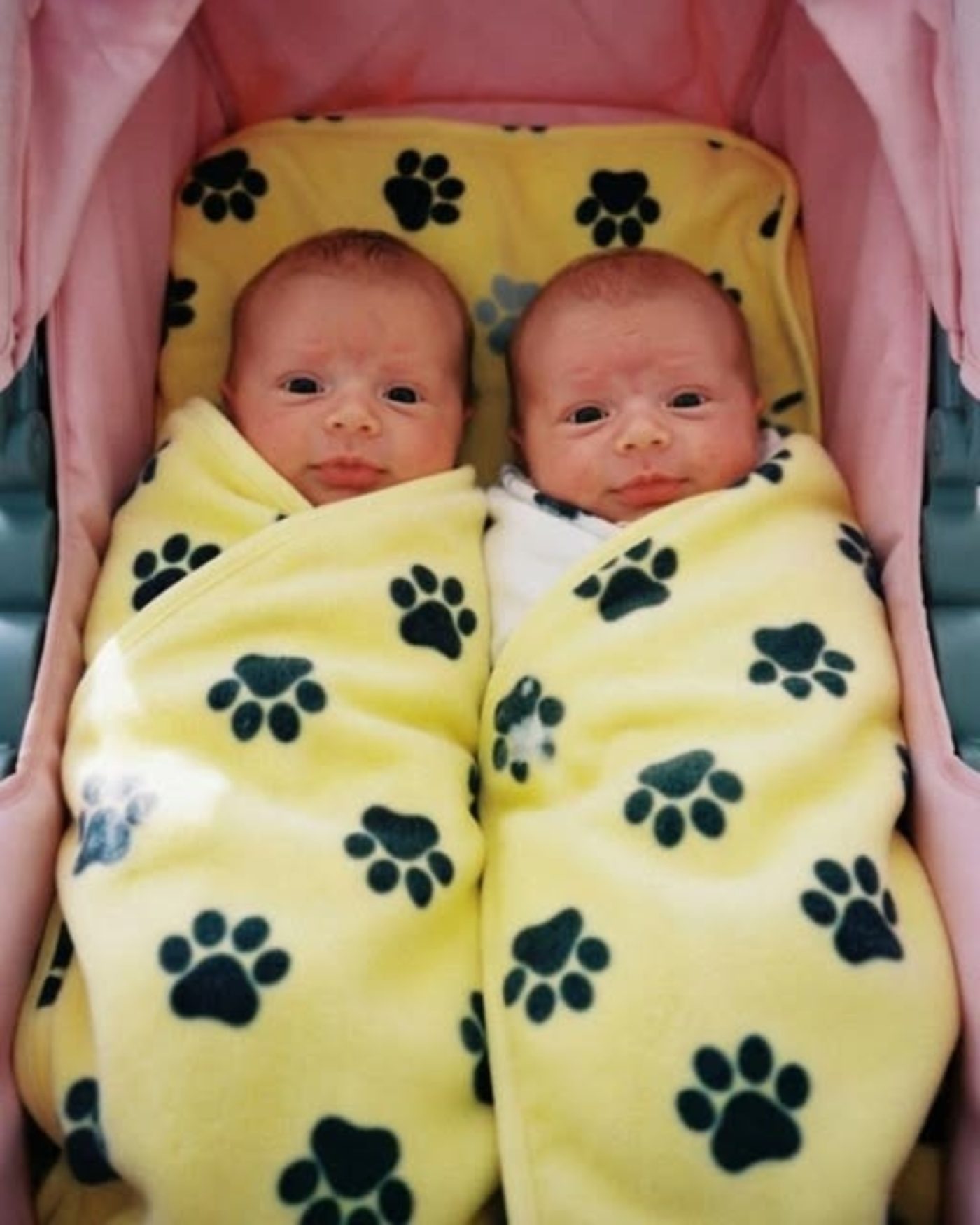 Pensé que mi vida era difícil después del divorcio… hasta que mi hijo de 16 años entró, con unos gemelos recién nacidos en brazos, y dijo: “No podía dejarlos atrás”.