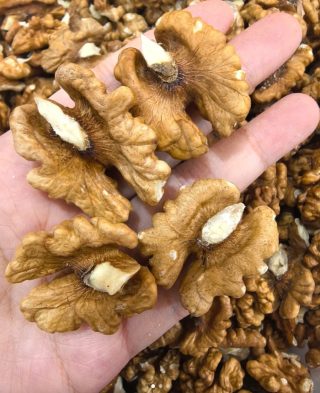 I medici rivelano che mangiare noci provoca
