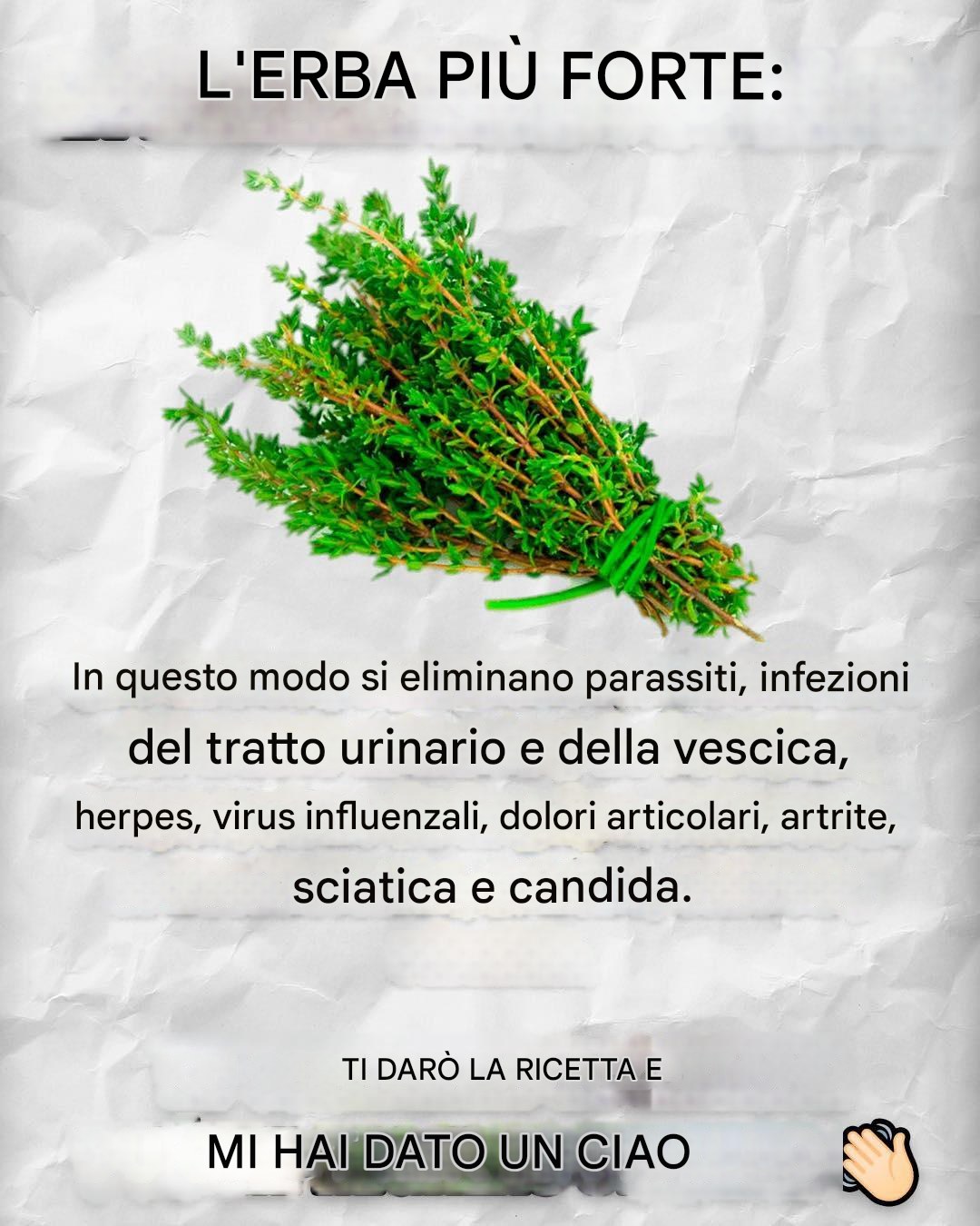 Ricette, rimedi e altro ancora