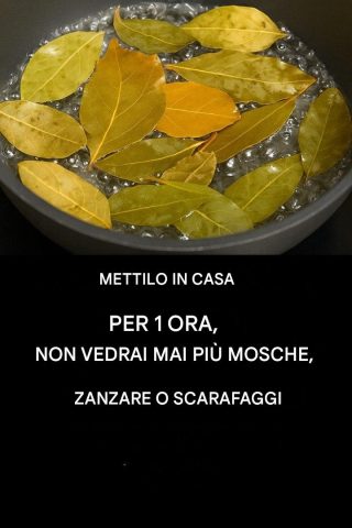 Dite addio a mosche, zanzare e scarafaggi bollendo queste foglie