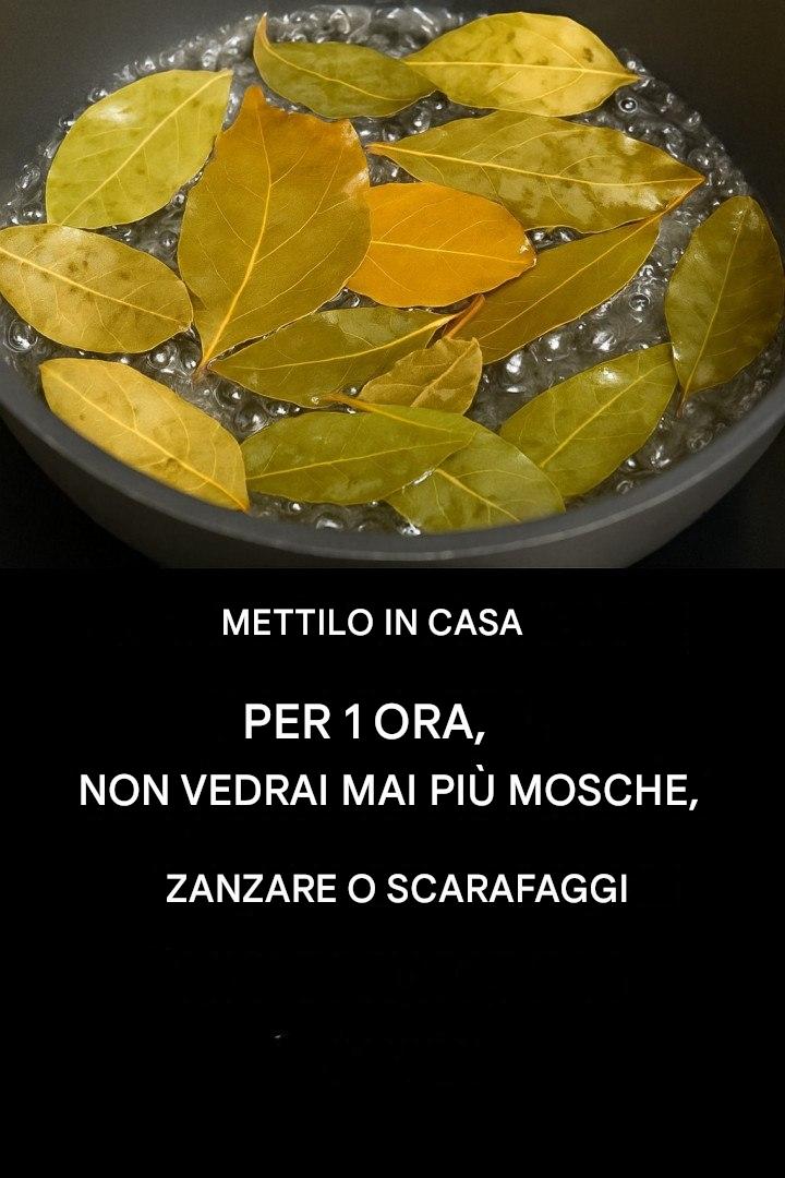 Dite addio a mosche, zanzare e scarafaggi bollendo queste foglie
