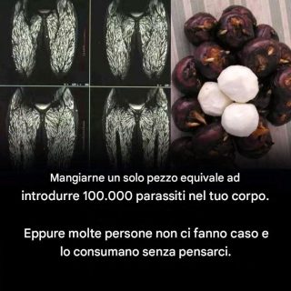 Mangia una bocconcino e mangialo, tutta la mia persona continuerà a mangiarlo sempre.
