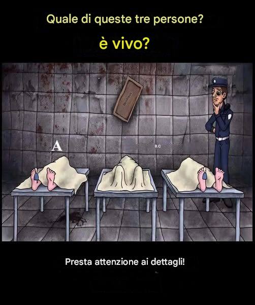 Enigma visivo: è possibile imparare a vivere?