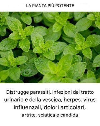 È una delle piante più potenti al mondo.