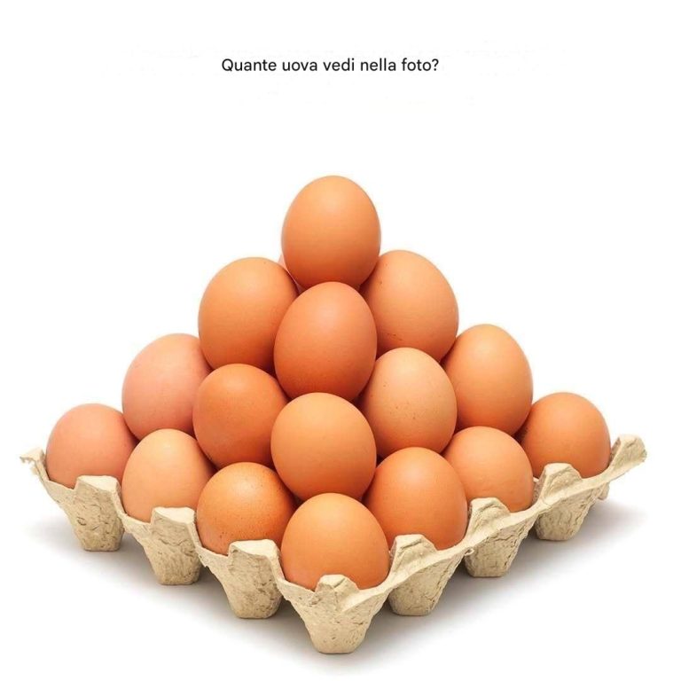 Quante uova vedi nella foto? La maggior parte delle persone si sbaglia.