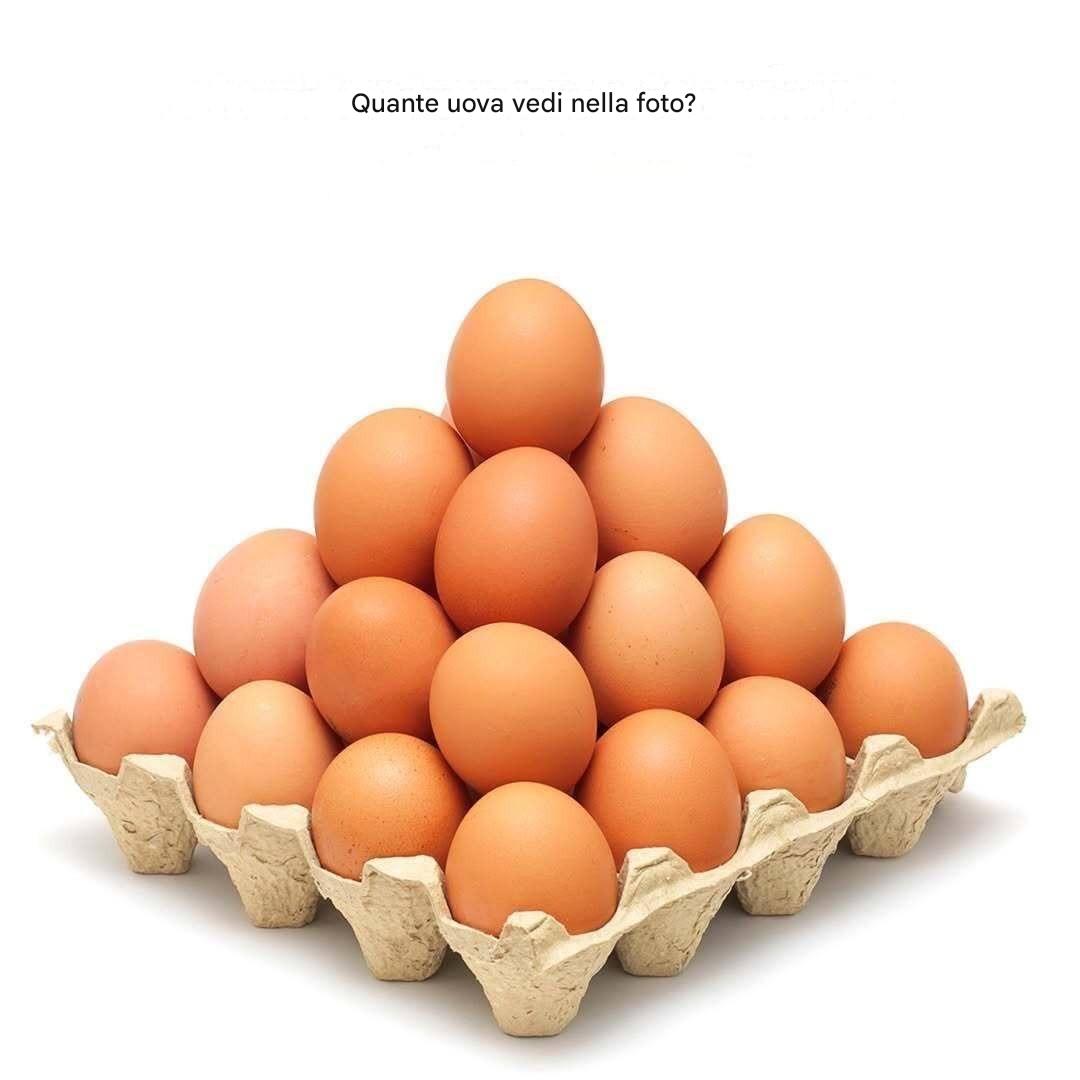 Quante uova vedi nella foto? La maggior parte delle persone si sbaglia.
