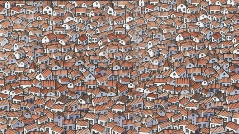 Hai una vista a raggi X se riesci a individuare un gatto in 30 secondi.