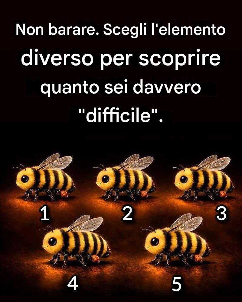 Non barare. Scegli l’elemento diverso per scoprire quanto sei davvero “difficile”.