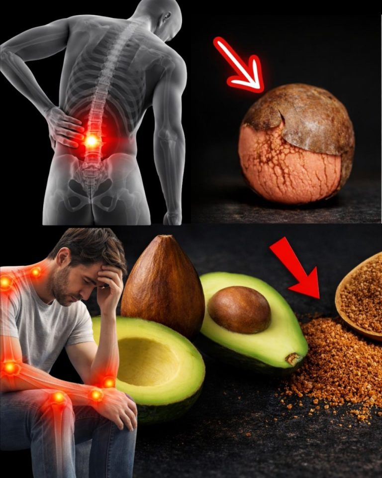 Benefici dei noccioli di avocado: un rimedio naturale poco conosciuto che può alleviare i dolori articolari e alla schiena.