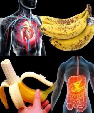 Lo sapevi che mangiare banane aumenta… Vedi altro