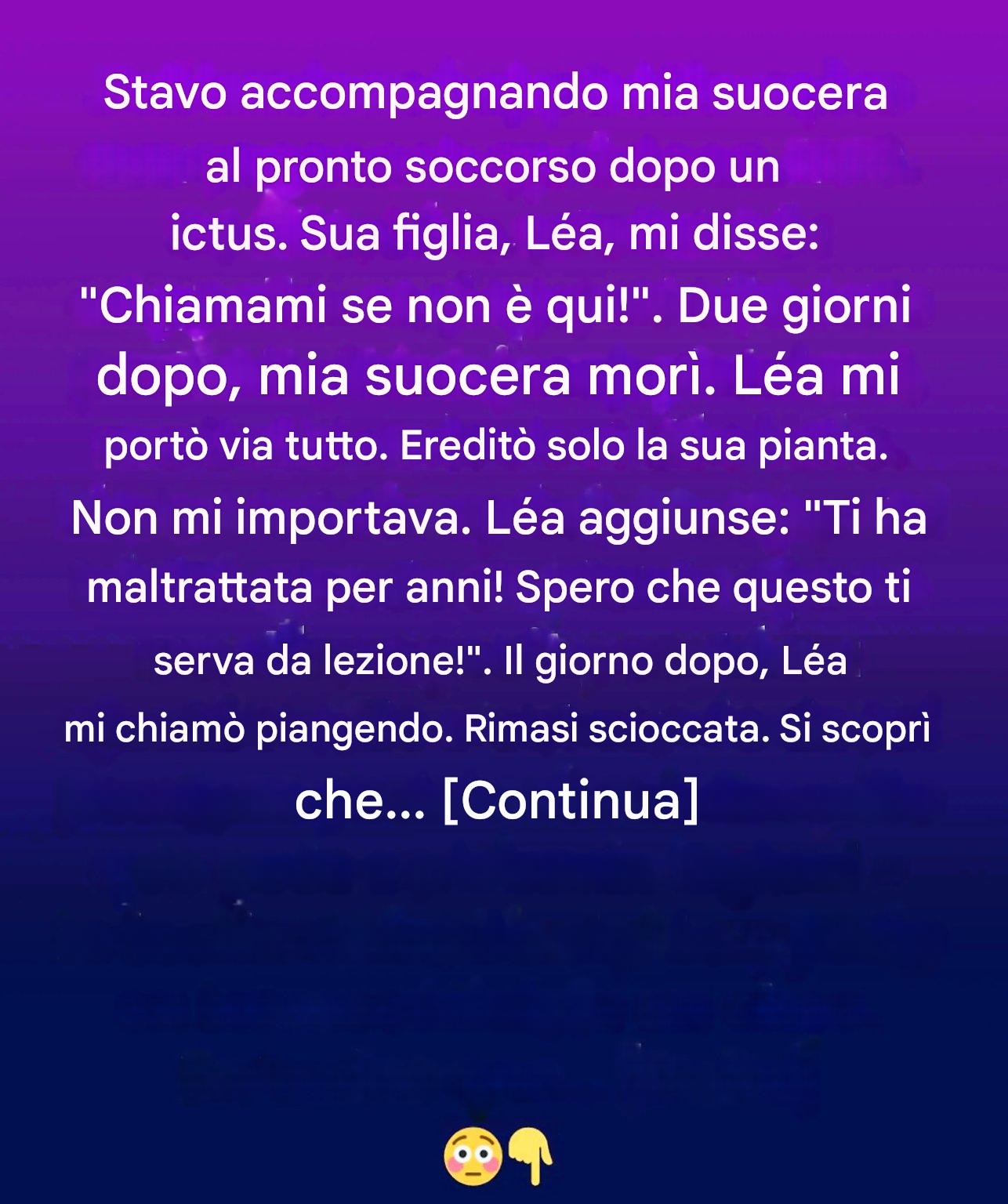Ho ereditato solo una vecchia pianta. La verità che custodiva ha cambiato tutto.