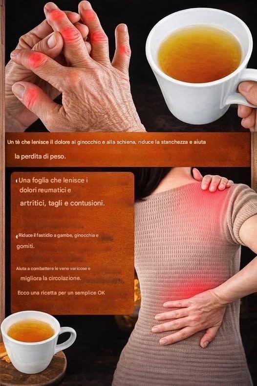 Una singola foglia allevia i dolori reumatici, l’artrite, i lividi e le lesioni. Lenisce anche il dolore alle gambe.