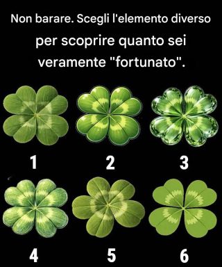 Ciò che il tuo sguardo cattura per primo dice molto di più su di te di quanto qualsiasi test di fortuna potrebbe mai fare.