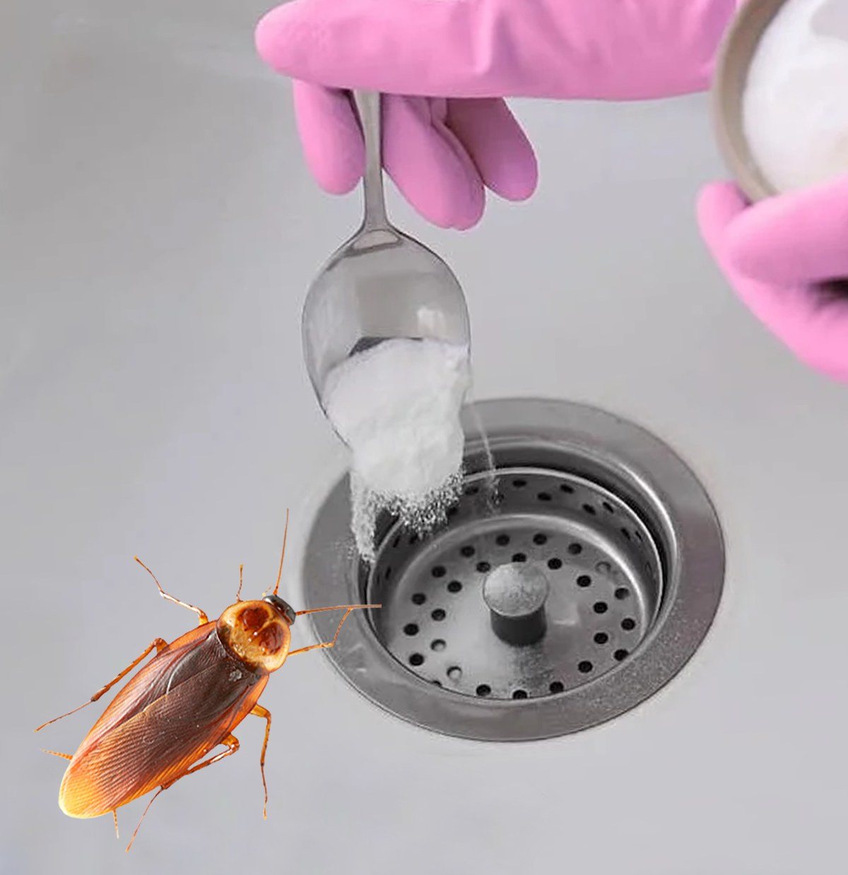 Addio scarafaggi in casa: il trucco naturale che impedisce loro di entrare e li elimina per sempre.