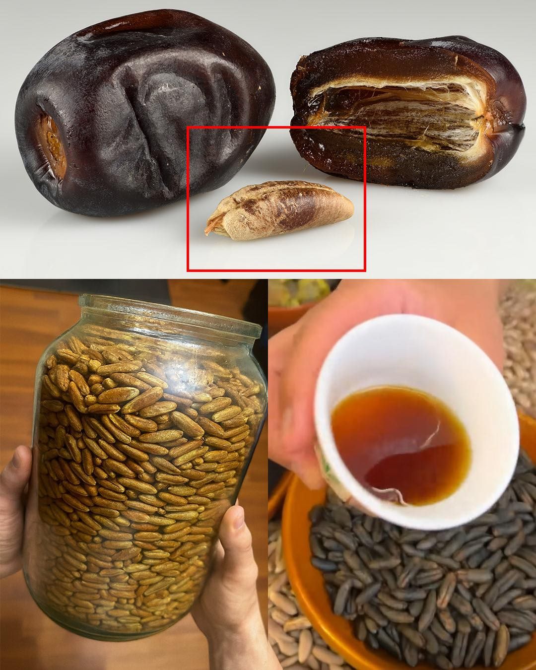 Non buttate via il nocciolo del dattero: è proprio quello che gli conferisce tutto il suo valore.