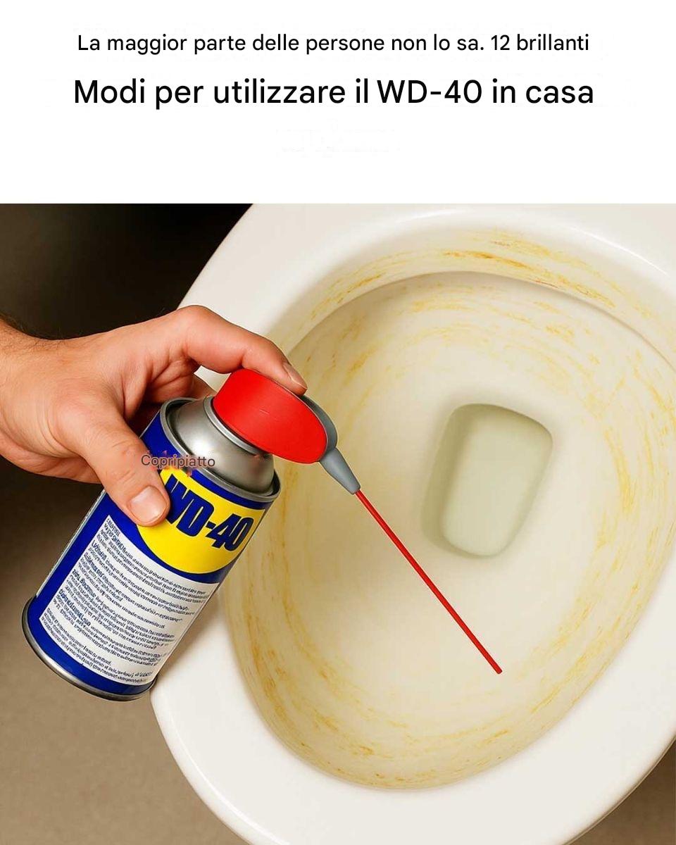 Molti non lo sanno. 12 modi geniali per usare il WD-40 in casa.