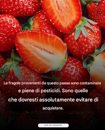 Le fragole di questo paese sono imperdibili… Vedi altro