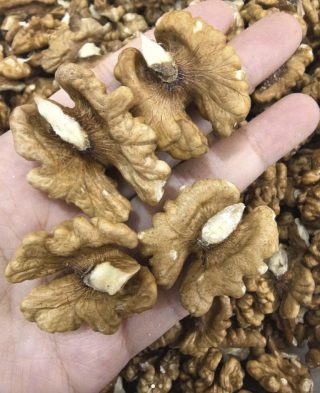 I medici rivelano che mangiare noci provoca