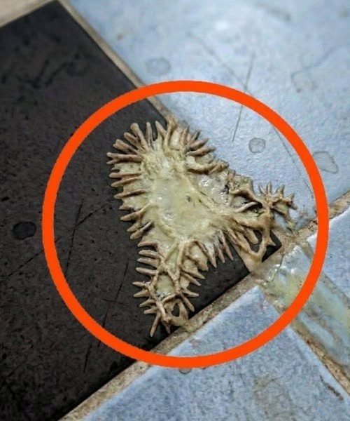 Ho trovato questo nel bagno della mia ragazza. Lo stiamo fissando da un’ora e ancora non riusciamo a capire cos’è.