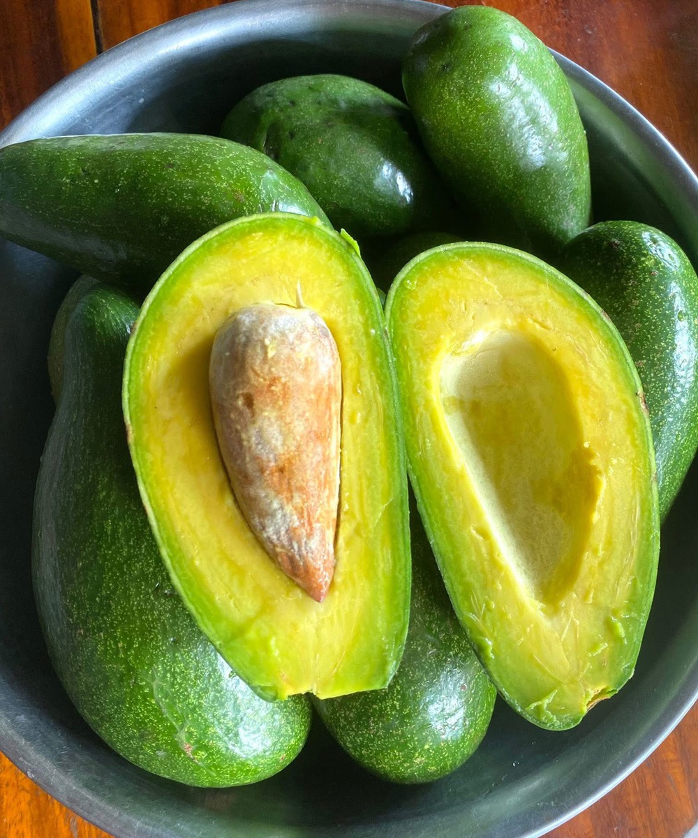 Mangiare avocado causa davvero problemi di salute? Il parere dei medici.