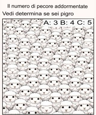 Il numero di pecore addormentate che vedi determina se sei pigro