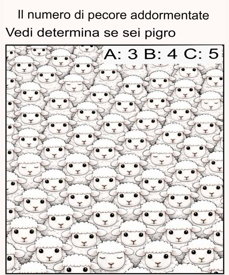 Il numero di pecore addormentate che vedi determina se sei pigro