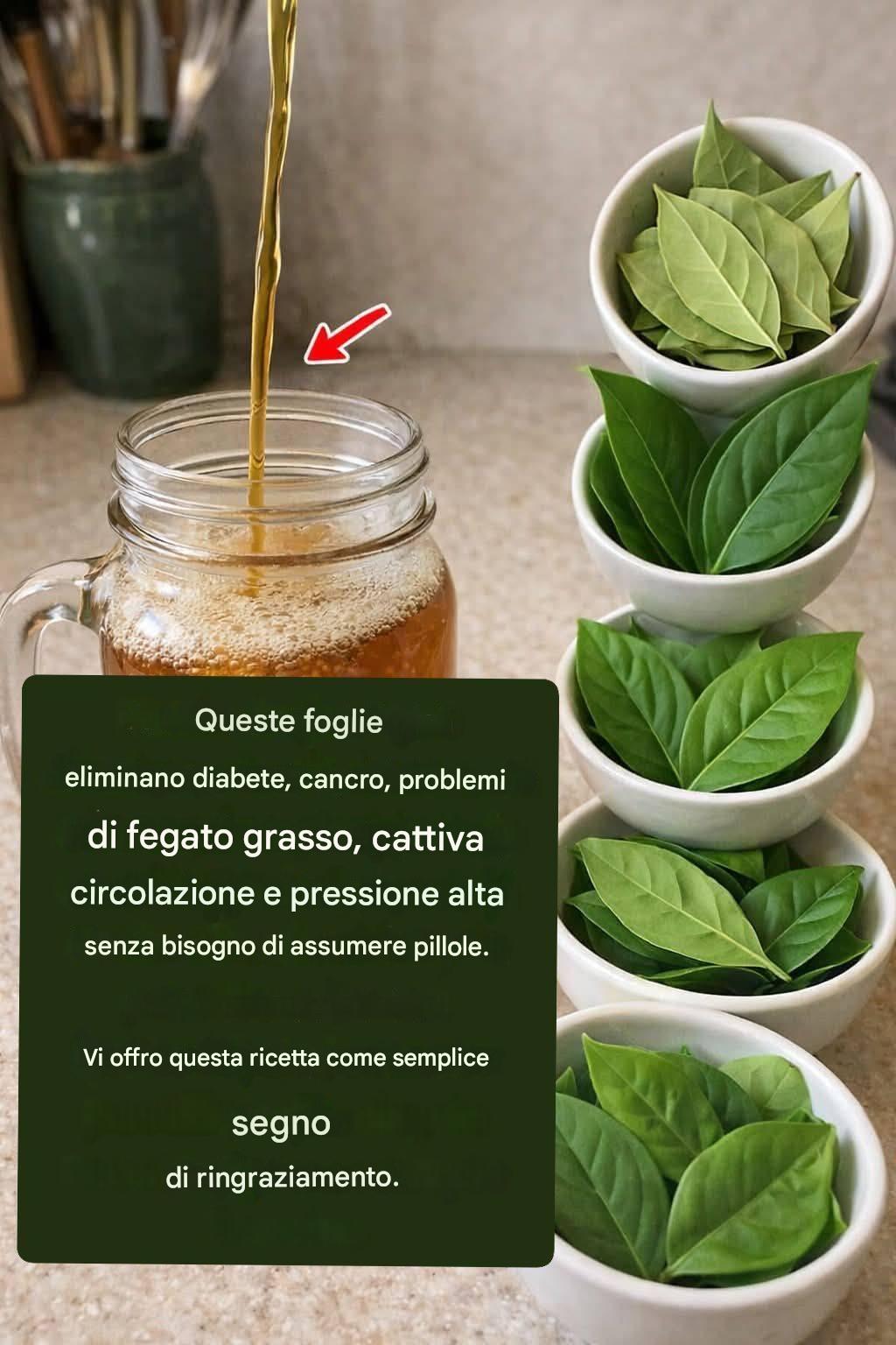 Queste foglie eliminano diabete, cancro, steatosi epatica, problemi circolatori e ipertensione senza bisogno di pillole. Ecco una semplice ricetta per la gratitudine.