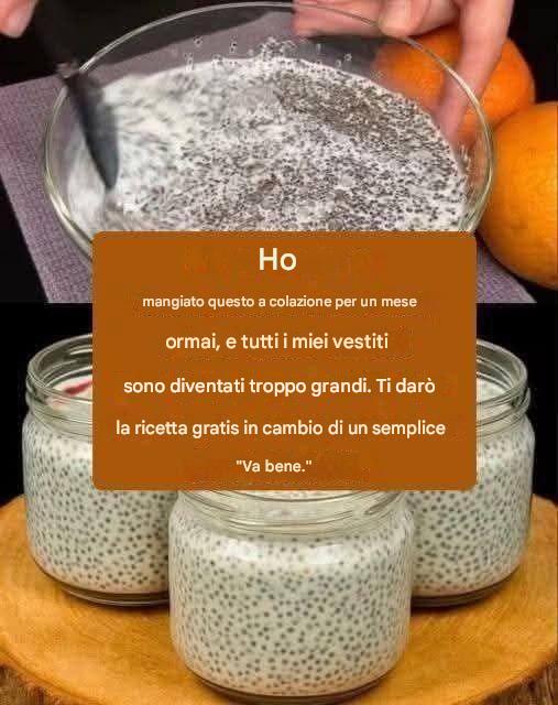 Budino di chia sano petit déjeuner rapide minceur sans sucre ajout style airfryer fitness🥣✨