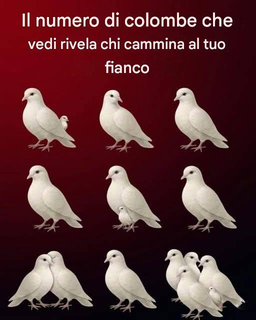 Il numero di colombe che vedi rivela chi cammina al tuo fianco