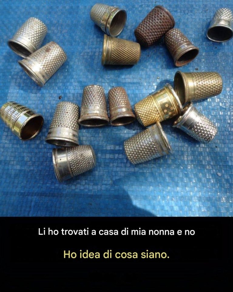 L’ho trovato a casa di mia nonna e stavo per buttarlo via… finché non ho scoperto la verità. Dai un’occhiata al primo commento