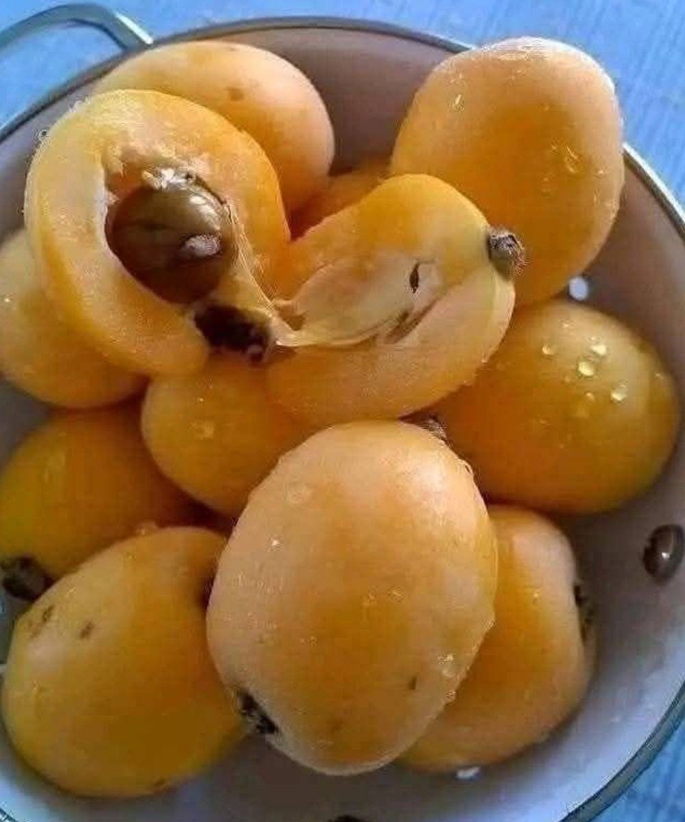 Questa semplice ricetta per la marmellata fatta in casa trasforma la frutta di tutti i giorni in una preferita per sempre.