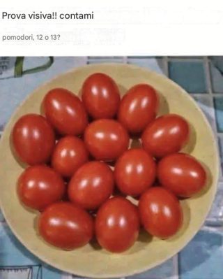 Prova visiva! Contate i pomodori, 12 o 13?