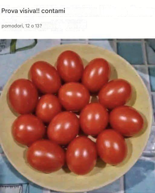 Prova visiva! Contate i pomodori, 12 o 13?