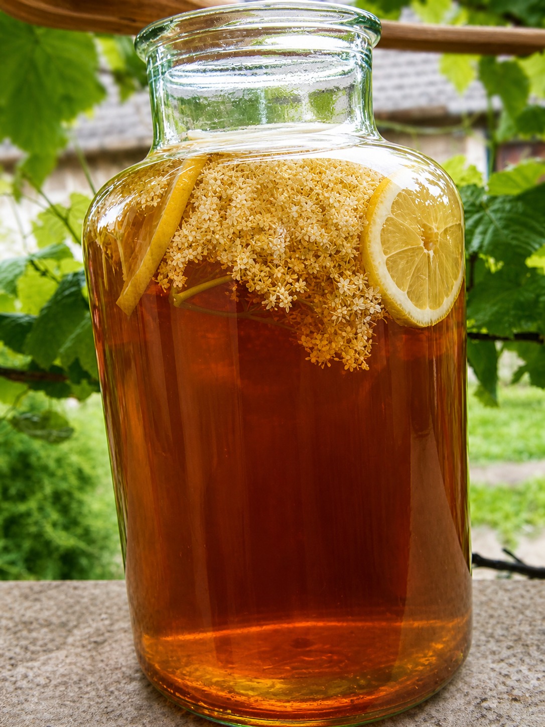 La ricetta della nonna per il succo di sambuco e fiori di sambuco