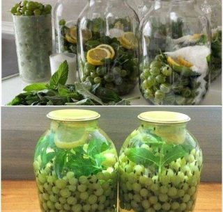 Di recente ho preparato un Mojito all’uva spina per mio marito e non smetteva di parlarne bene! Questa combinazione con foglie di menta e fette di limone è semplicemente divina. Dovete assolutamente provarla! Taggate qualcuno e troverete la ricetta nel primo commento.