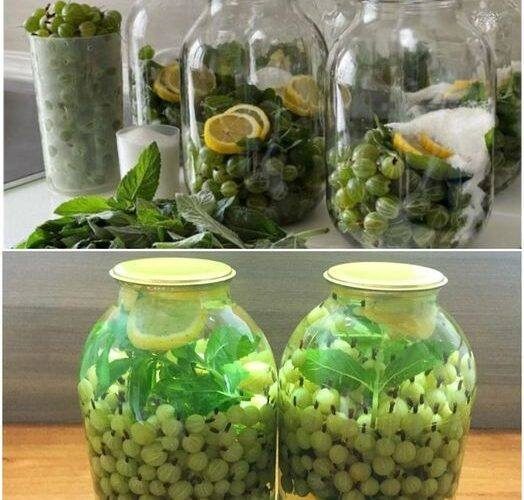 Di recente ho preparato un Mojito all’uva spina per mio marito e non smetteva di parlarne bene! Questa combinazione con foglie di menta e fette di limone è semplicemente divina. Dovete assolutamente provarla! Taggate qualcuno e troverete la ricetta nel primo commento.