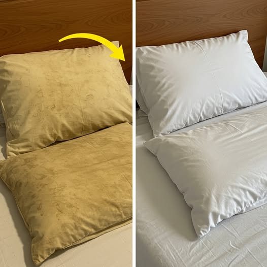 Ho provato la miscela di bicarbonato di sodio e aceto bianco sui miei cuscini e ora brillano come nuovi! Mia moglie era così entusiasta che ha detto di non aver mai avuto cuscini così puliti da anni. Dovete provarla anche voi! Salvate questo post e leggete il primo commento per la ricetta completa 👇👇👇