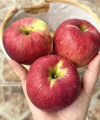 I medici rivelano che mangiare una mela ogni sera provoca…