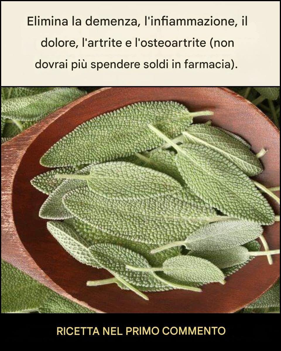 Tutto quello che puoi fare con una singola pianta di salvia: gli usi tradizionali della nonna