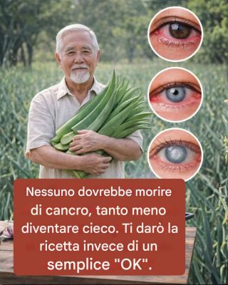 7 benefici scientifici dell’Aloe Vera e come prepararla in casa