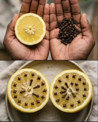 Compro foglie di alloro, limone e chiodi di garofano per creare un profumo gradevole in casa, e i miei ospiti pensano che provenga tutto da costosi diffusori di aromi.